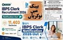 آئی بی پی ایس کلرک بھرتی 2026: 11403 آسامیوں کے لیےآن لائن رجسٹریشن